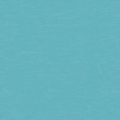 Coloris Caribbean Green (CGT)