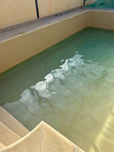 Rénovation d’un bassin avec escalier roman : Plongez dans l’exotisme avec la membrane 3D CGT Golden Riviera !